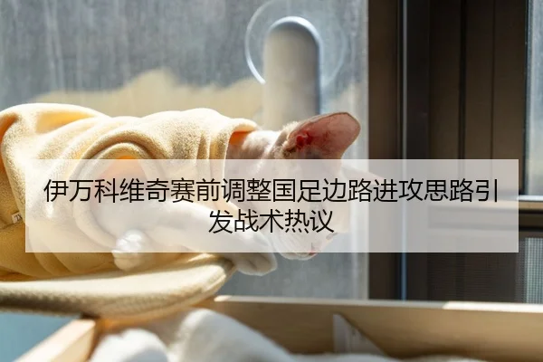 伊万科维奇赛前调整国足边路进攻思路引发战术热议